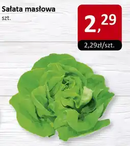 Market Point Sałata masłowa szt. Market Point oferta