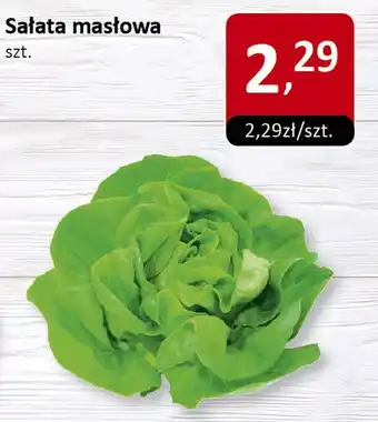 Market Point Sałata masłowa szt. Market Point oferta