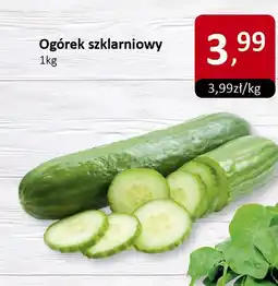 Market Point Ogórek szklarniowy 1kg Market Point oferta
