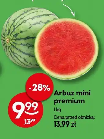 Żabka Arbuz mini premium Żabka oferta
