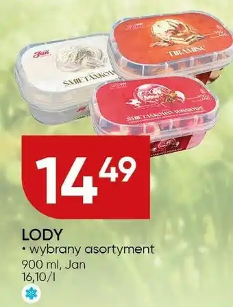 Chata Polska Lody Jan oferta