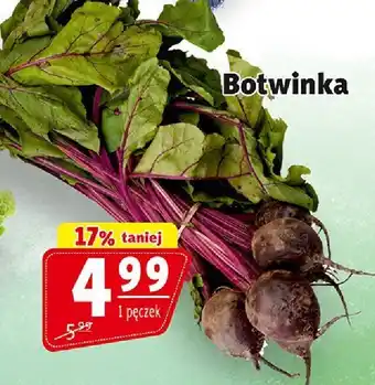 Prim Market Botwinka 1 pęczek Prim Market oferta