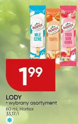 Chata Polska Lody Hortex oferta