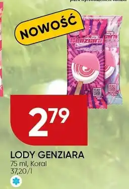 Chata Polska Lody Genziara Koral oferta