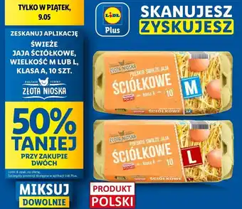 Lidl Jaja ściółkowe kl. l Złota Nioska oferta