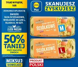 Lidl Jaja ściółkowe kl. m Złota Nioska oferta