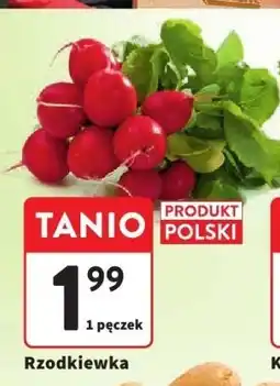 Intermarche Rzodkiewka 1 pęczek Intermarche oferta