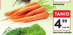 Intermarche Marchew młoda 1 pęczek Intermarche oferta