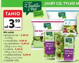 Intermarche Mix sałat porcja na raz 2 x 50 g Z Sadów i Pól oferta