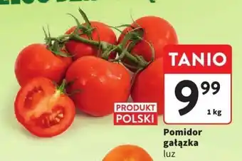 Intermarche Pomidor gałązka luz Intermarche oferta