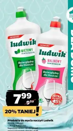 Netto Płyn do mycia naczyń miętowy Ludwik oferta