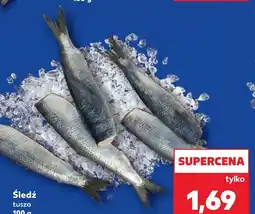 Kaufland Śledź oferta