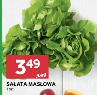 Stokrotka Market Sałata masłowa oferta