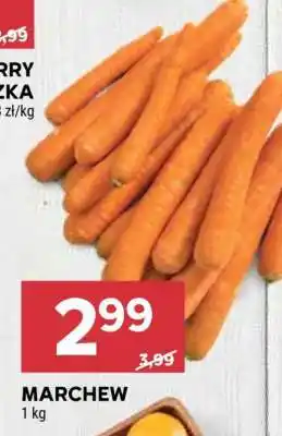 Stokrotka Market Marchew oferta