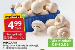 Stokrotka Express Pieczarki oferta