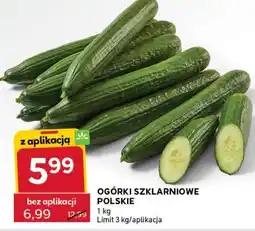 Stokrotka Express Ogórki szklarniowe polskie oferta