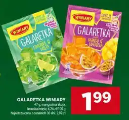 Stokrotka Market Galaretka WINIARY oferta