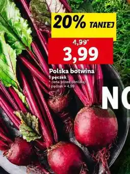 Lidl Polska botwina oferta