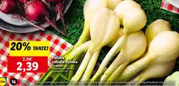 Lidl Polska cebula dymka oferta