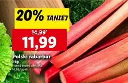 Lidl Polski rabarbar oferta