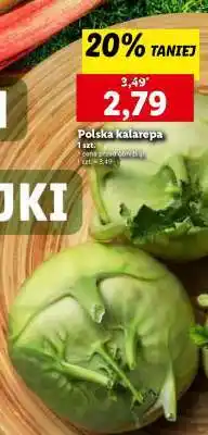 Lidl Polska kalarepa oferta