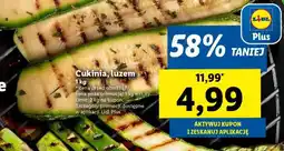 Lidl Cukinia luzem oferta