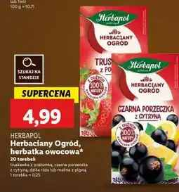 Lidl Herbapol Herbaciany Ogród, herbatka owocowa oferta
