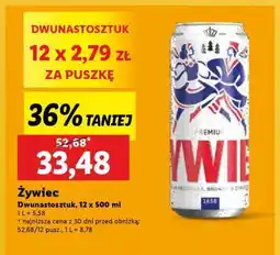 Lidl Żywiec oferta