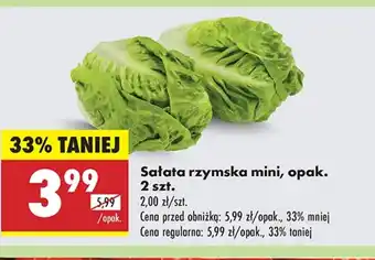 Biedronka Sałata rzymska oferta
