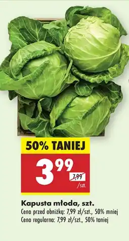 Biedronka Kapusta młoda oferta