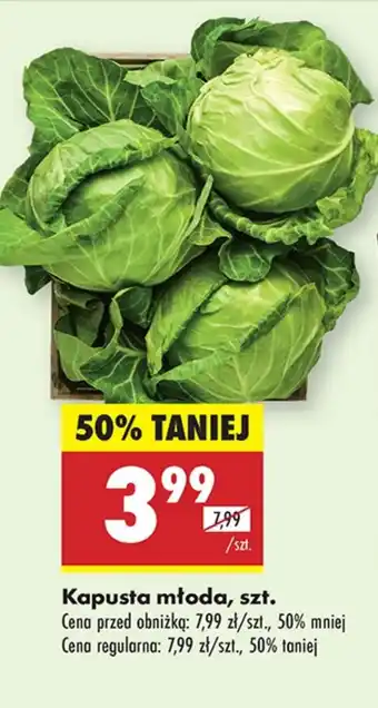 Biedronka Kapusta młoda oferta