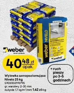 Castorama Wylewka Weber oferta