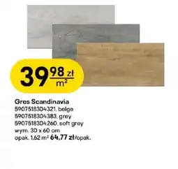 Castorama Gres Soft oferta