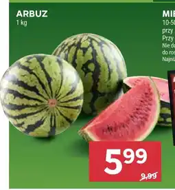Stokrotka Arbuz oferta