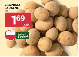 Stokrotka Ziemniaki Polski oferta