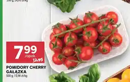 Stokrotka Pomidory oferta