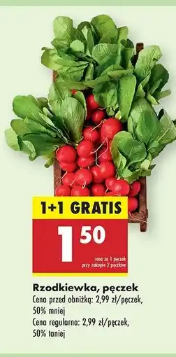 Biedronka Rzodkiewka oferta