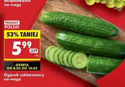 Biedronka Ogórek szklarniowy polska oferta