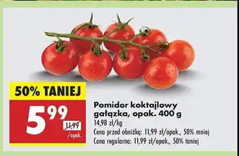 Biedronka Pomidory koktajlowe oferta