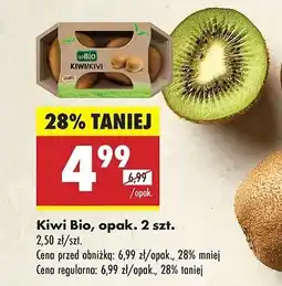 Biedronka Kiwi Gobio oferta