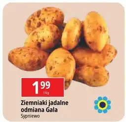 E.Leclerc Ziemniaki gala oferta