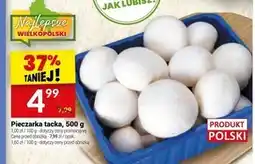 Twój Market Pieczarki oferta
