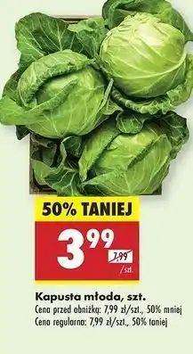 Biedronka Kapusta młoda oferta