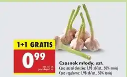 Biedronka Czosnek młody oferta