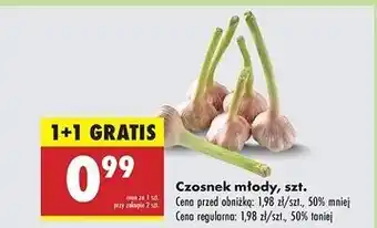 Biedronka Czosnek młody oferta