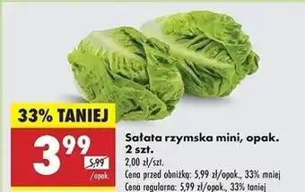 Biedronka Sałata rzymska mini oferta
