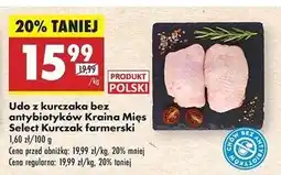 Biedronka Udo z kurczaka farmerskiego Kraina Mięs Select oferta