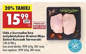 Biedronka Udo z kurczaka farmerskiego Kraina Mięs Select oferta