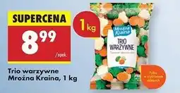 Biedronka Trio warzywne Mroźna Kraina oferta