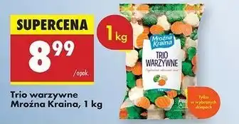 Biedronka Trio warzywne Mroźna Kraina oferta